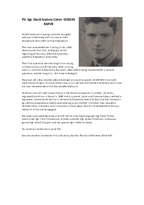 A preview of a PDF biography for Cohen, David Isadore